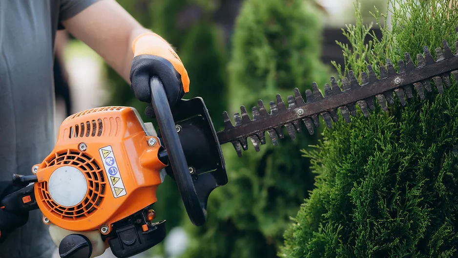 A close-up of a person using an orange gas-powered hedge trimmer to shape a green evergreen bush