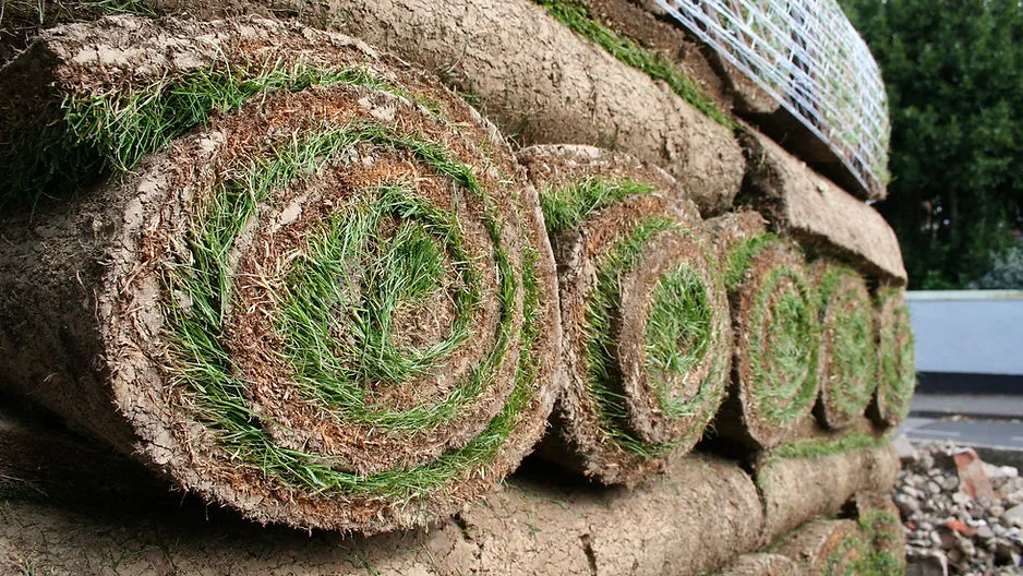 Stack of grass sod rolls showing green blades on the inside and dark soil on the outside